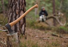 Best Axe for Felling Trees – 6 Rugged Options!