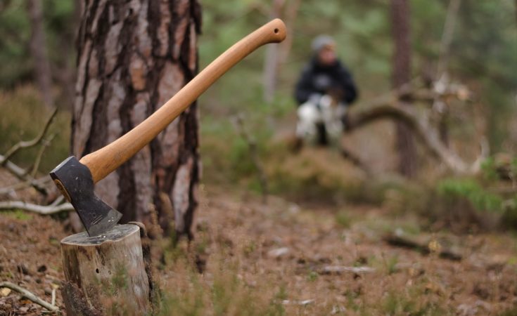 Best Axe for Felling Trees – 6 Rugged Options!