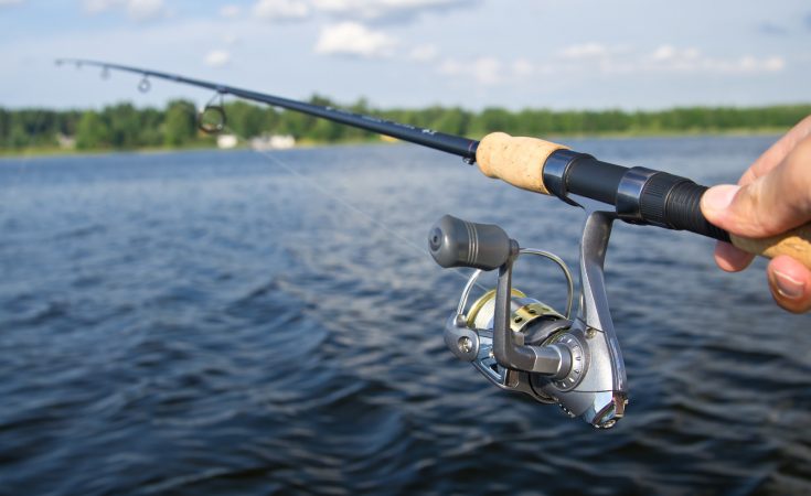 Best Fishing Rod Guides for Braided Line