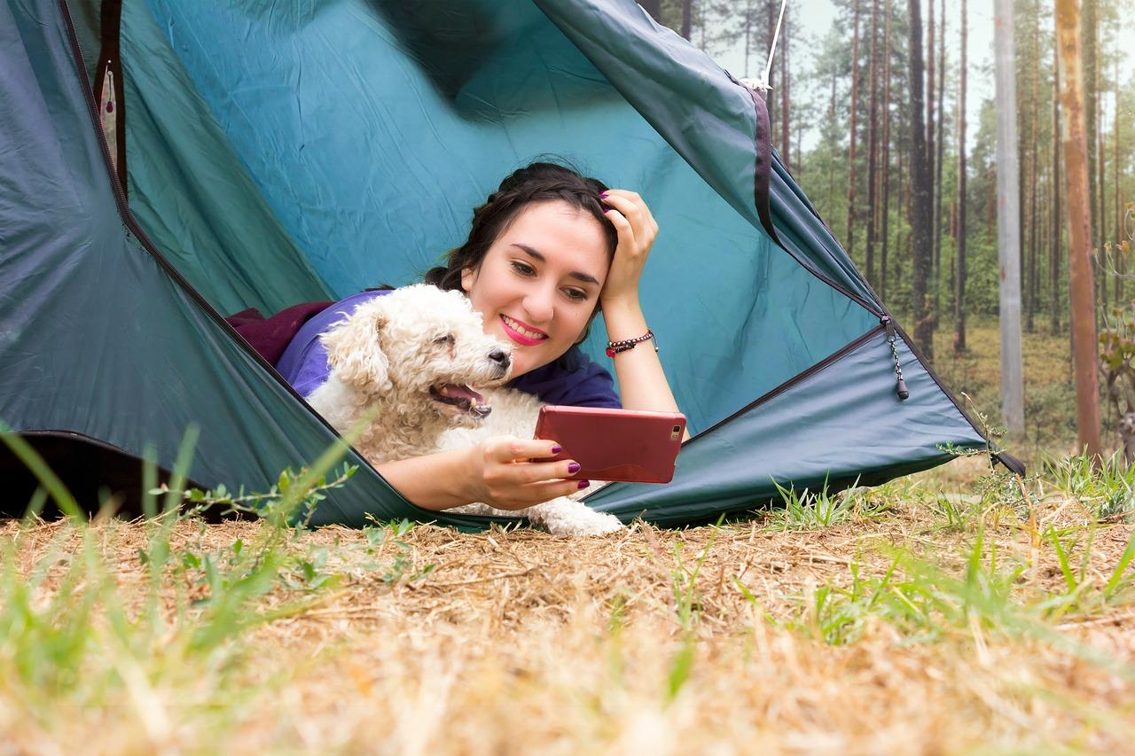 Dog resting on an insulated bed inside a camping tent
