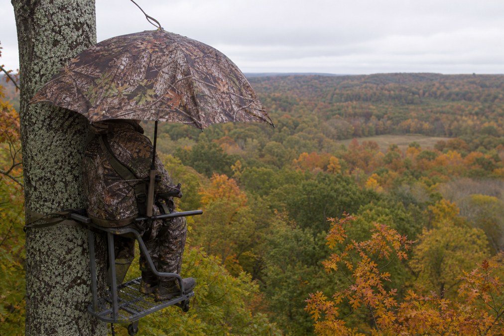 Camouflage hunting umbrella mounted on a tree stand