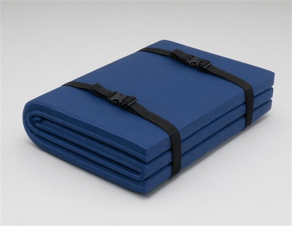 AI-generated illustration of a budget foldable closed-cell foam camping mat matching the Wolf Walker style